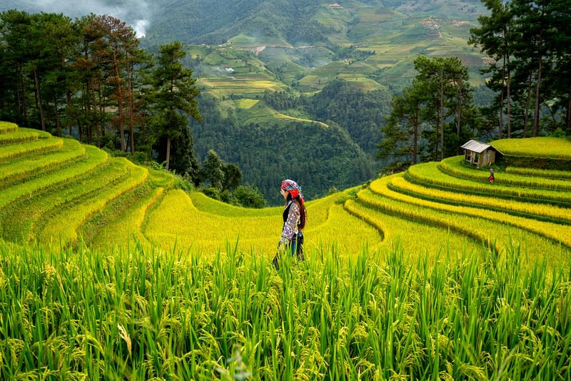 Sustainable Farming